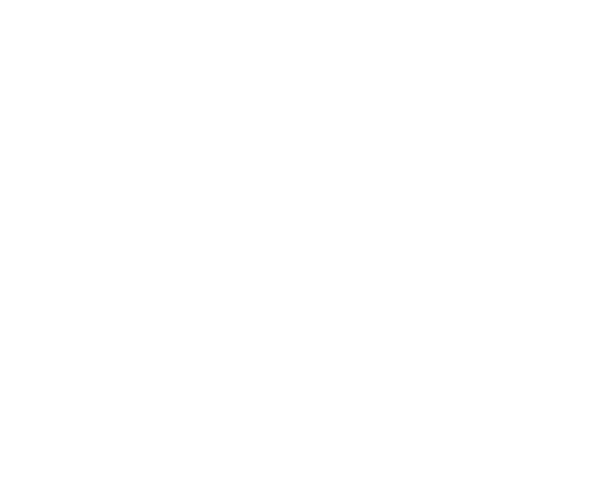 Apex Digital